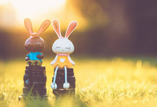 法國法令2019-1007協調與某些非食品產品安全有關的監管規定